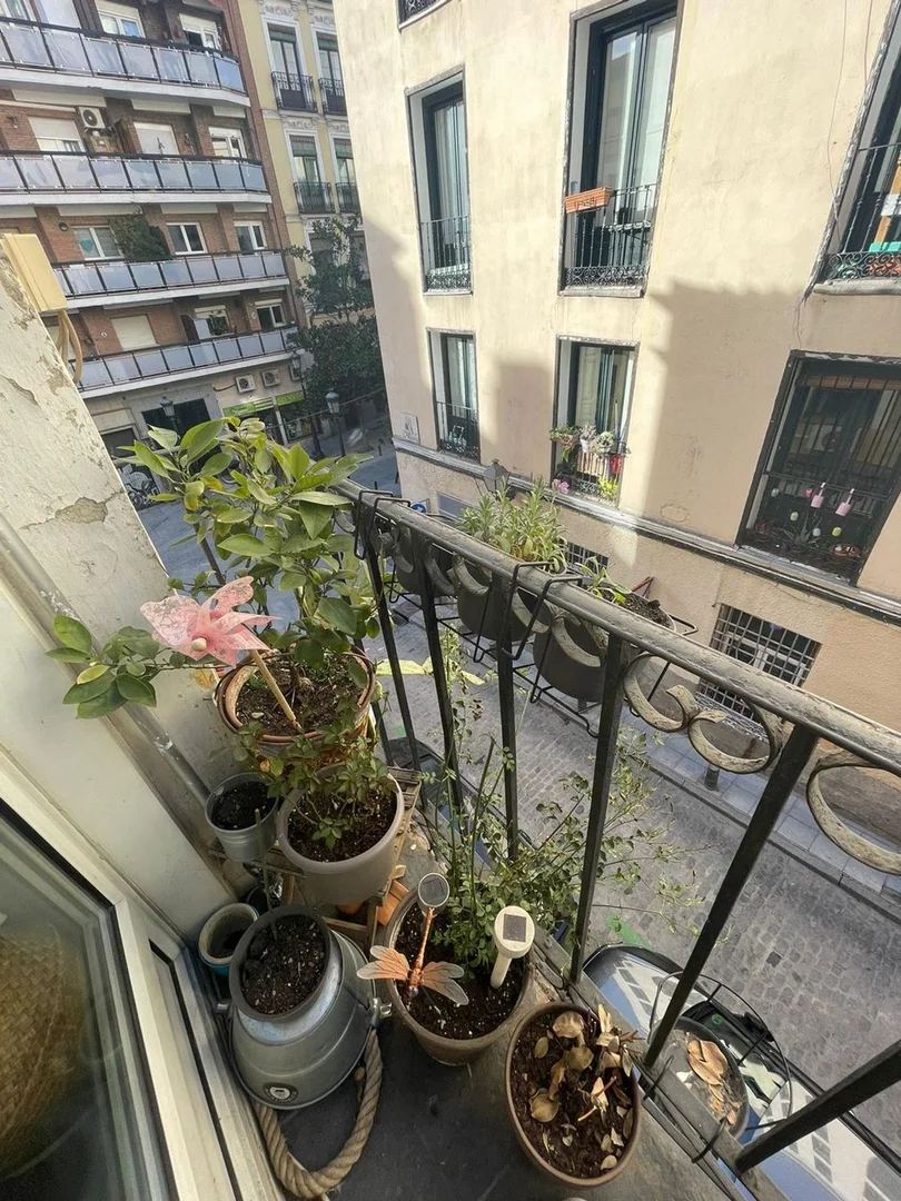 Piso en calle Ave María, 31 - Foto 9