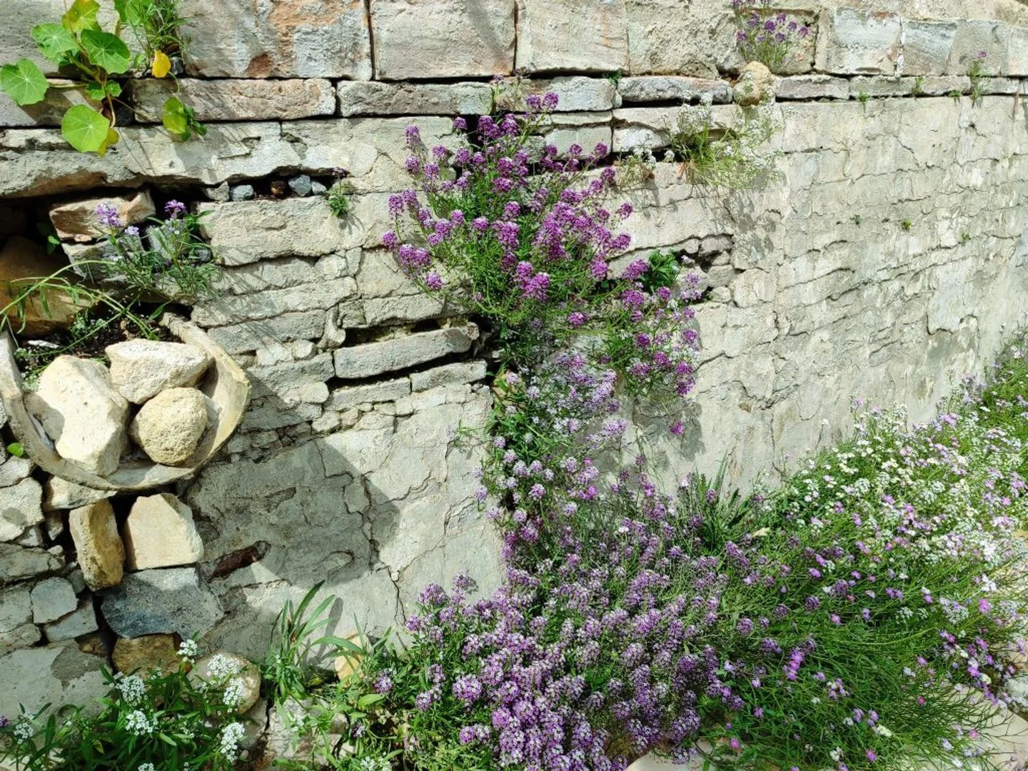 Casa independiente en calle María Nicolasa, 9 -11 - Foto 30