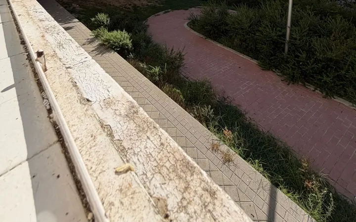 Piso en Plaza del Pico Salvaguardia, 8, Peñagrande - Foto 21