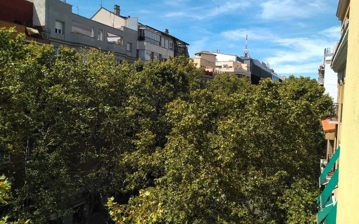 Piso en Calle de Ríos Rosas, Nuevos Ministerios-Ríos Rosas - Foto 8