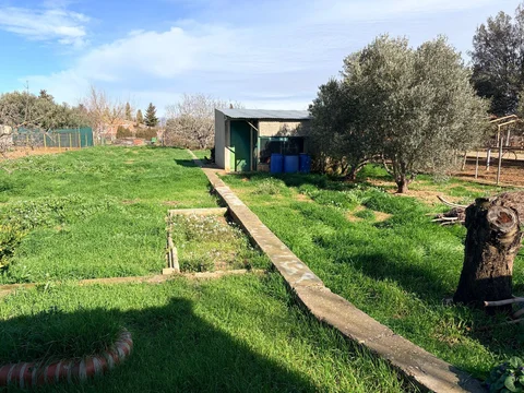 Finca rústica en camino de Perdiguera s/n - Foto 9