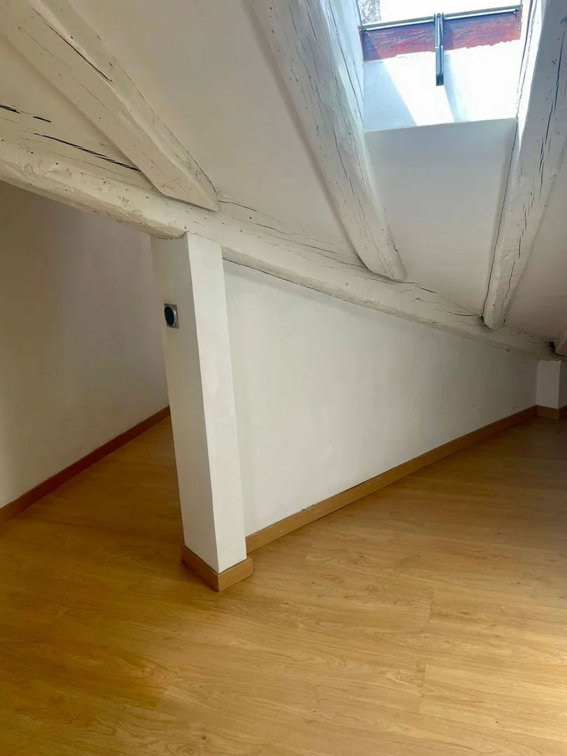Ático en Plaza de Cascorro, 2, Lavapiés-Embajadores - Foto 23