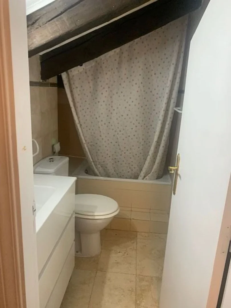 Piso en Calle del Conde de Romanones, 8, Lavapiés-Embajadores - Foto 6