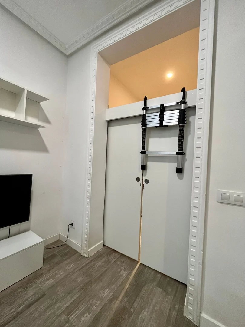 Estudio en Calle de San Bartolomé, 18, Chueca-Justicia - Foto 17