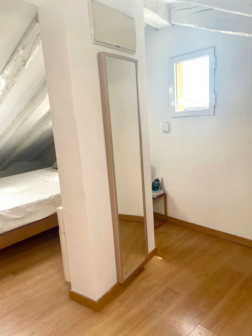 Ático en Plaza de Cascorro, 2, Lavapiés-Embajadores - Foto 17