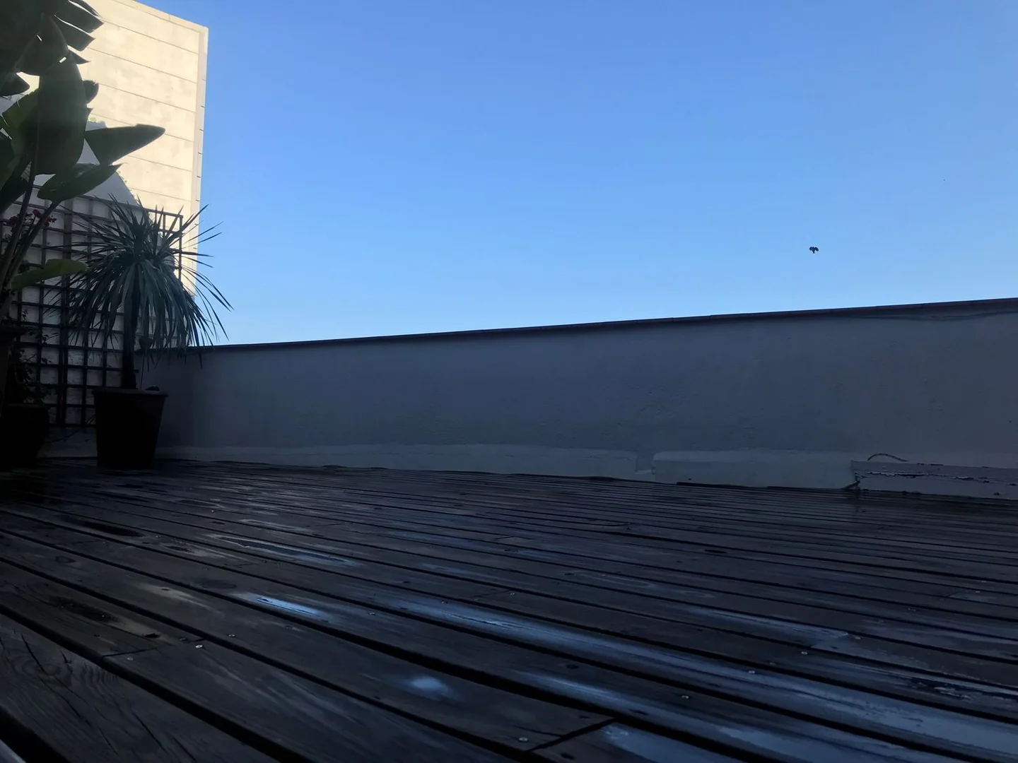 Ático en Calle de Santa Madrona, 22, El Raval - Foto 6